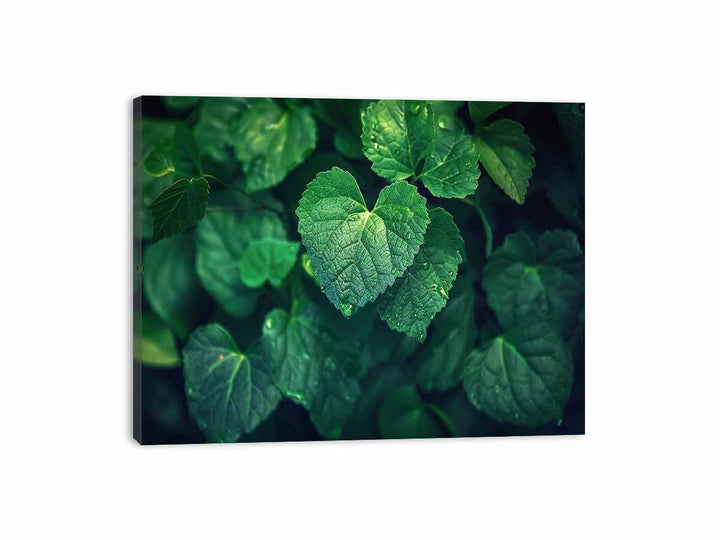 Love Leaves  Canvas Print