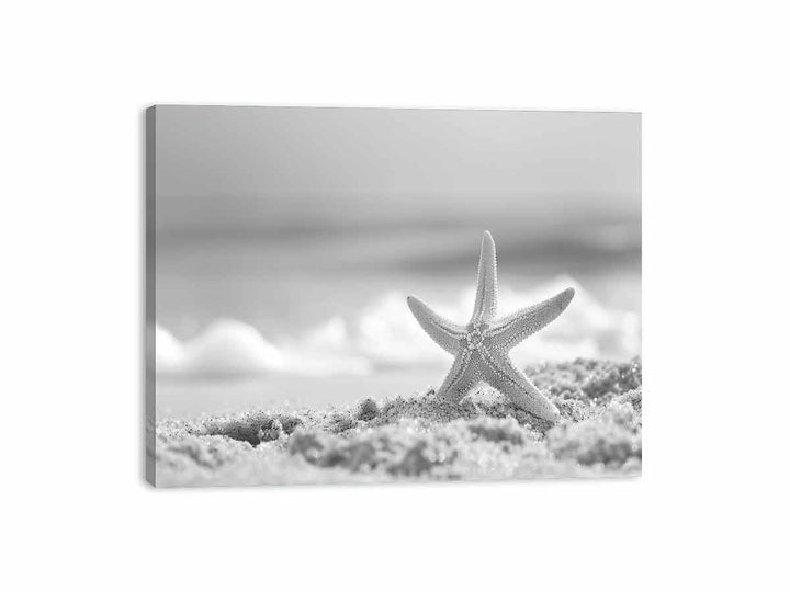 Starfish  Canvas Print