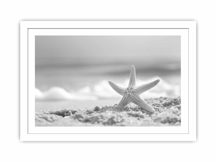 Starfish  Streched canvas