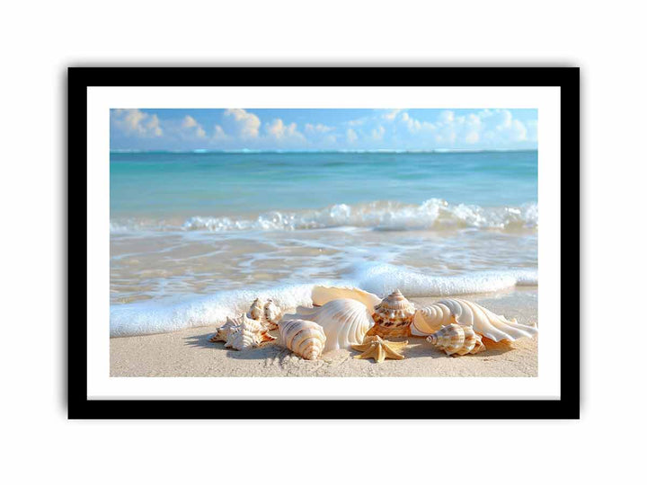 SHell   Art Print