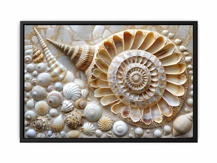 SHell   Painting