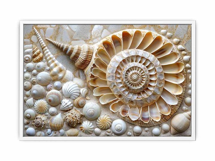 SHell  Framed Print