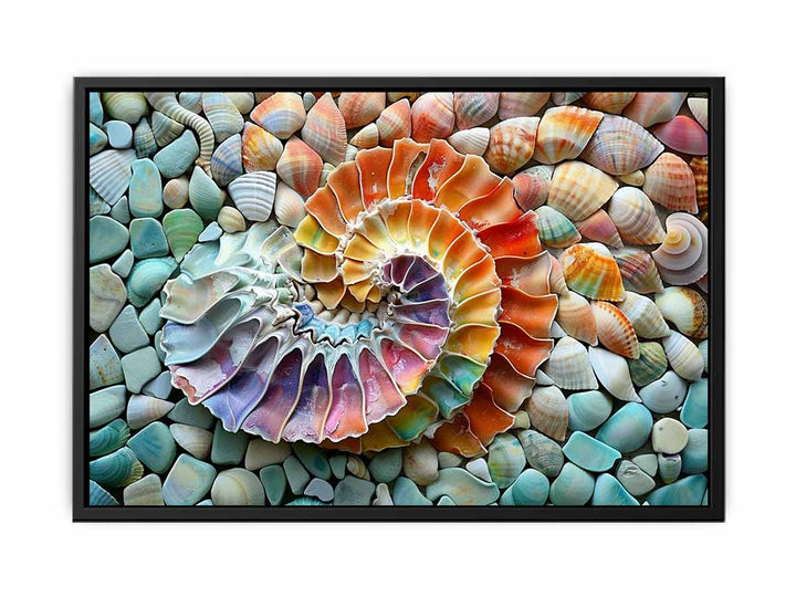 SHell   Painting