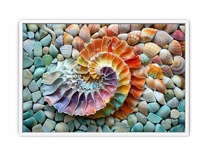 SHell  Framed Print