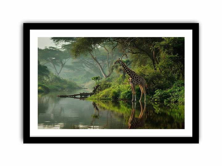 Giraffe in Africa  Art Print