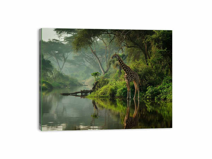 Giraffe in Africa Canvas Print