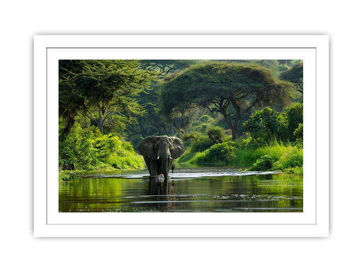 African Bush  Elephant  Streched canvas