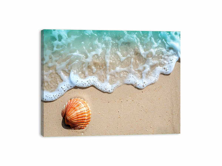 SHell  Canvas Print