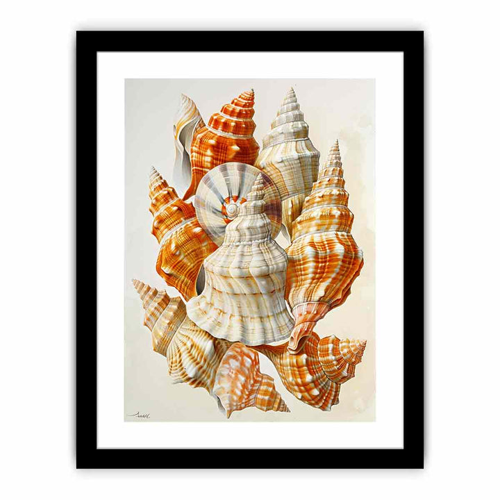 SHell   Art Print