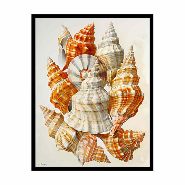 SHell   Painting