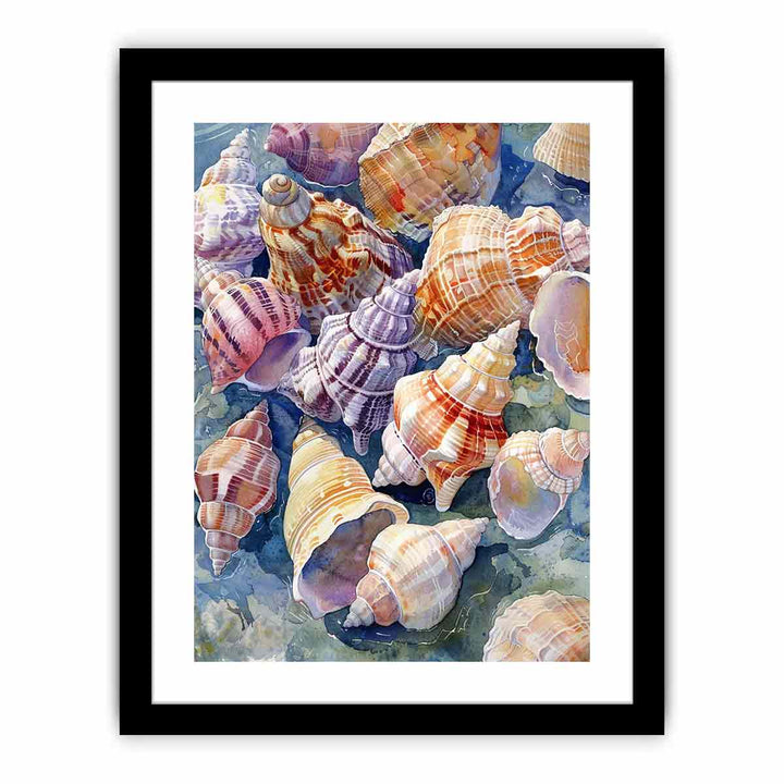 SHell   Art Print