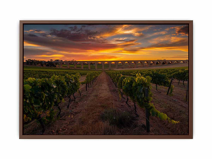 Barossa Vineyards   Poster