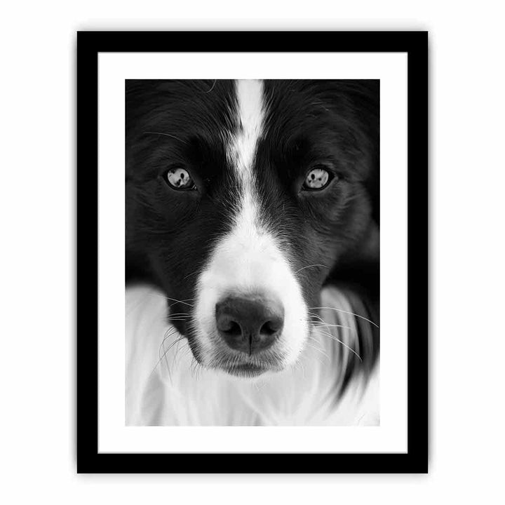 Dog   Art Print