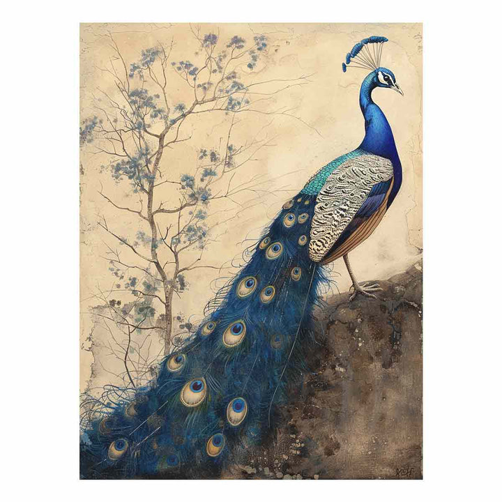 Blue Peacock 