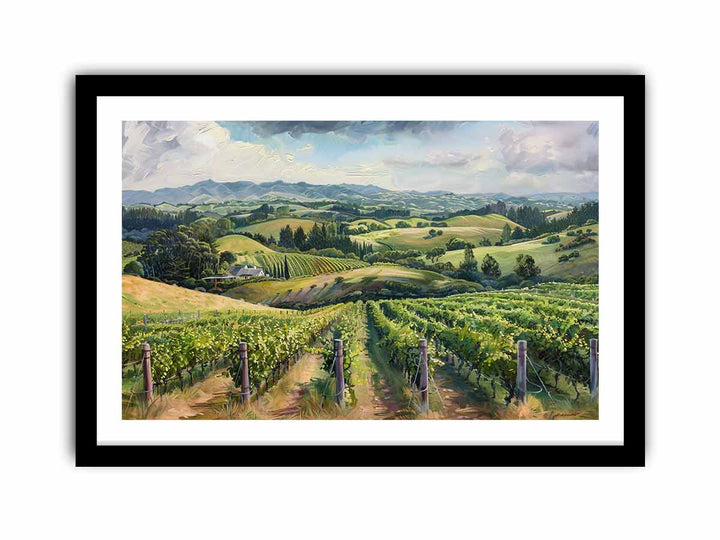 South Australia Vineyard   Art Print