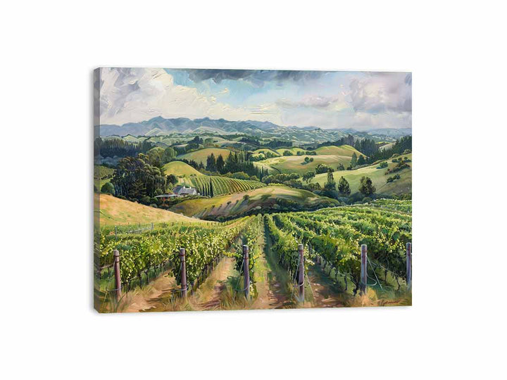 South Australia Vineyard  Canvas Print