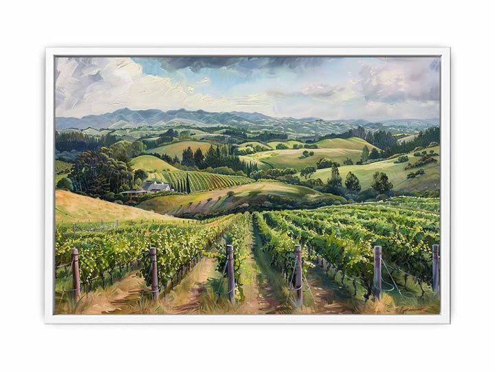 South Australia Vineyard  Framed Print