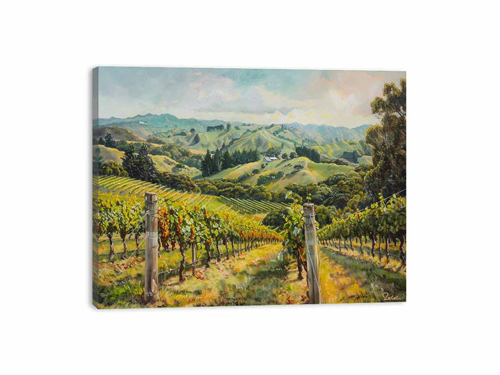 South Australia Vineyard  Canvas Print