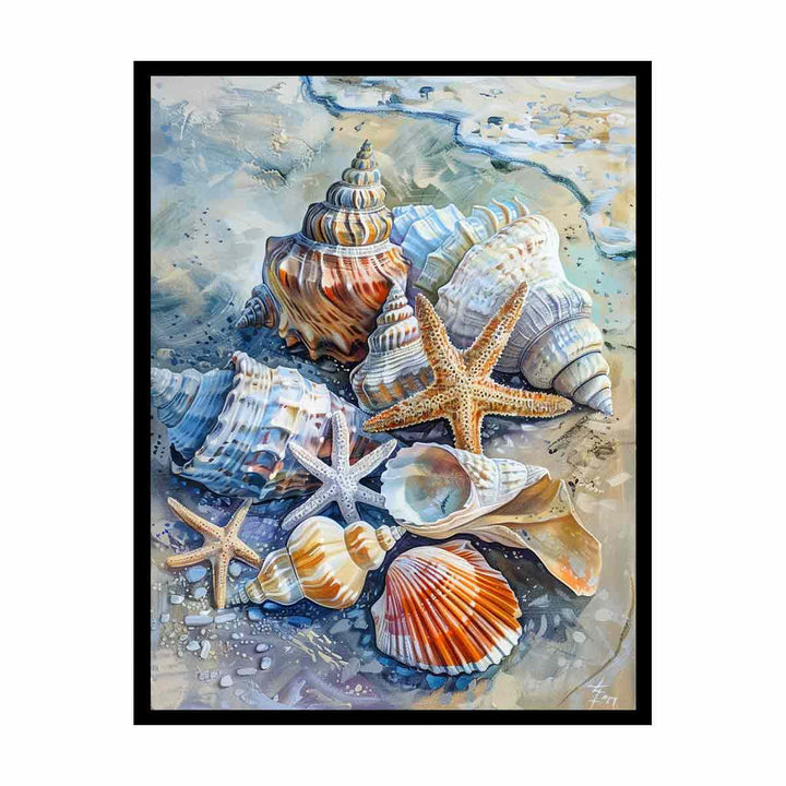 SHell   Painting