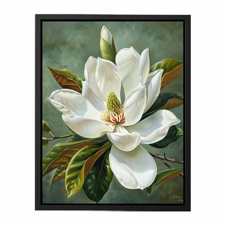 Magnolia Grandiflora Painting canvas Print