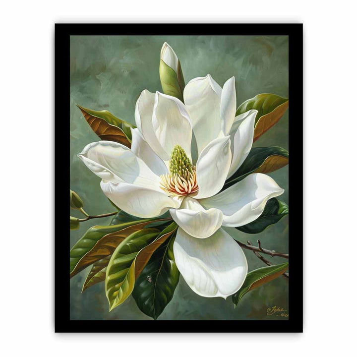 Magnolia Grandiflora Painting framed Print