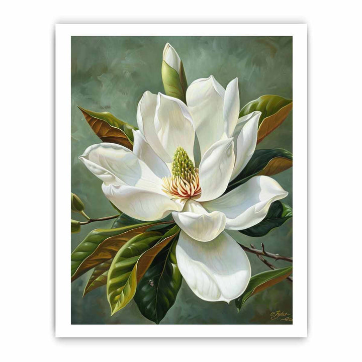 Magnolia Grandiflora Painting framed Print