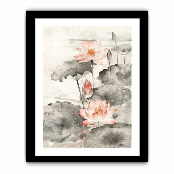 Waterlily   Art Print