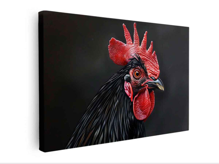 Black Cock Canvas Print