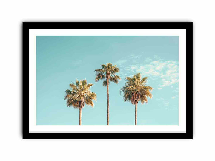 3 Palms  Art Print