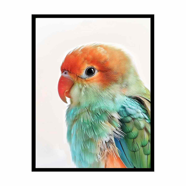 Soft Feathers  Painting