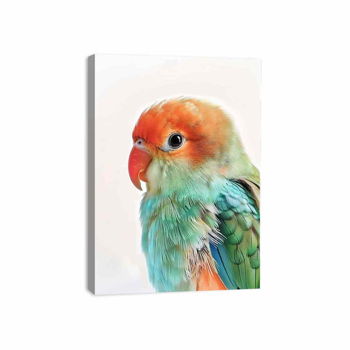 Soft Feathers Canvas Print