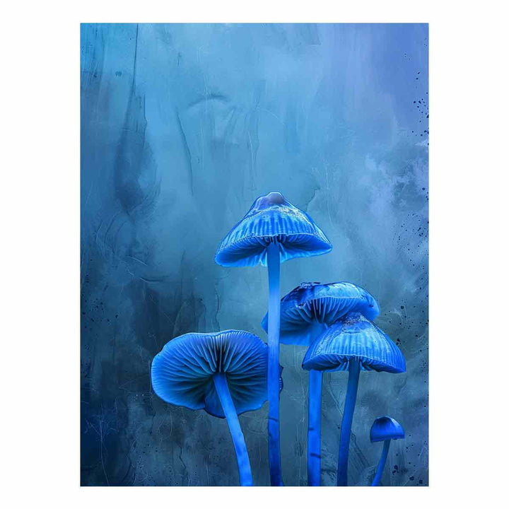 Blue Top Mushrooms