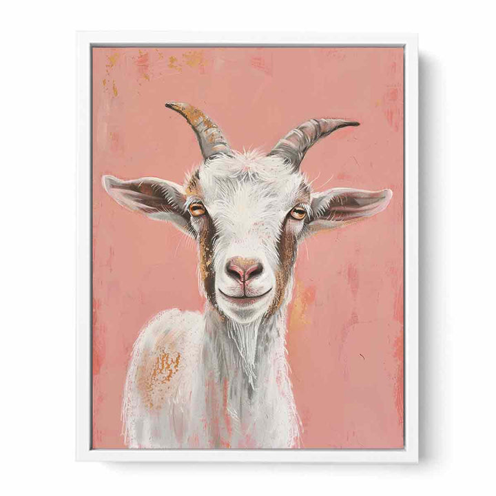 Cute Sheep  Framed Print