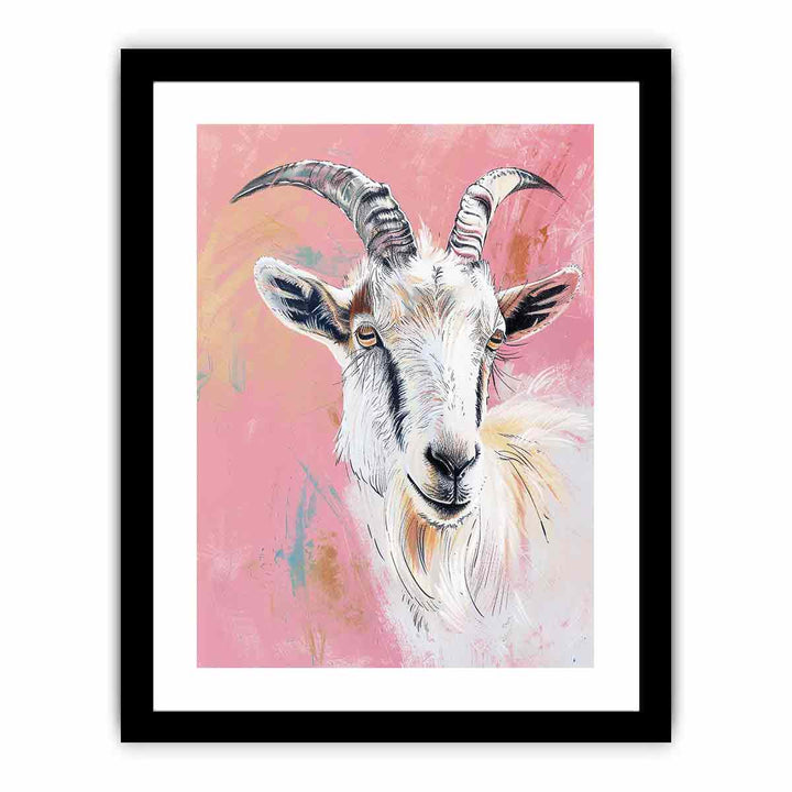 Sheep   Art Print