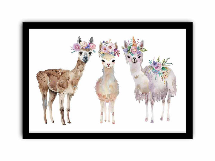 Three Llama  Art Print