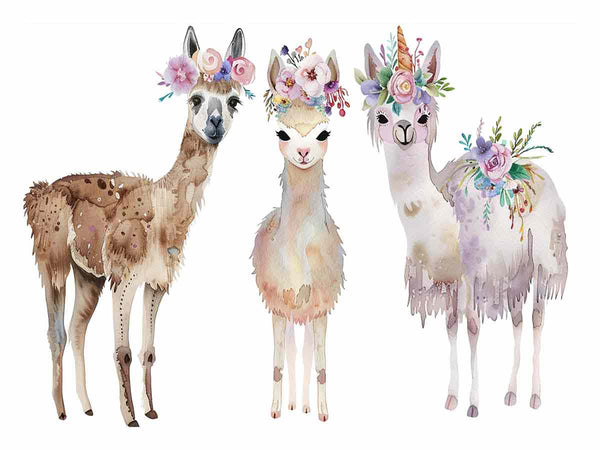 Three Llama