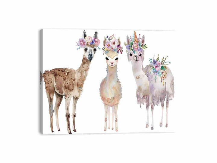 Three Llama Canvas Print