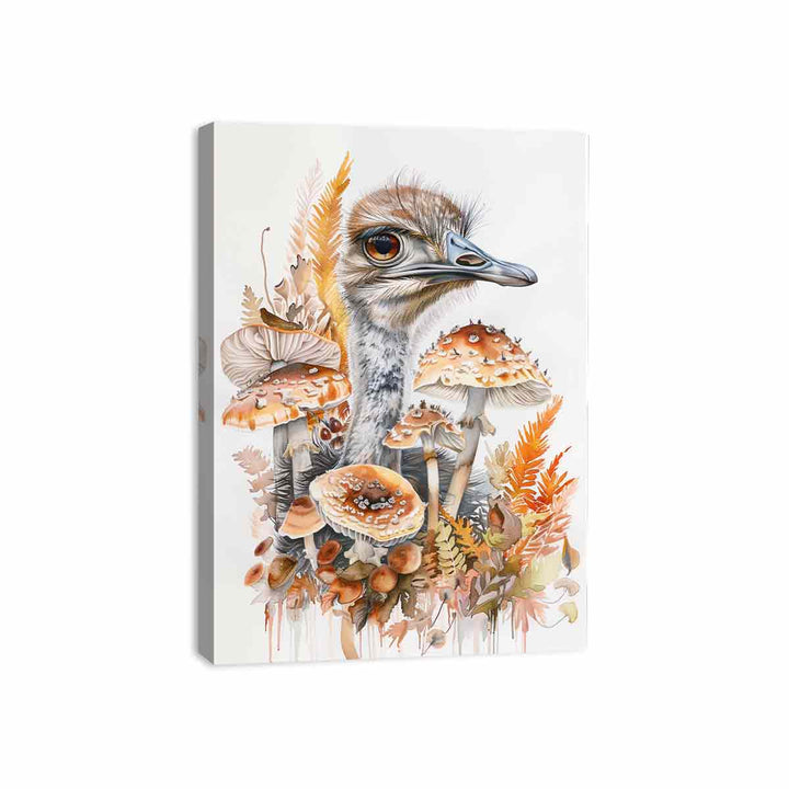 Ostrich  Canvas Print