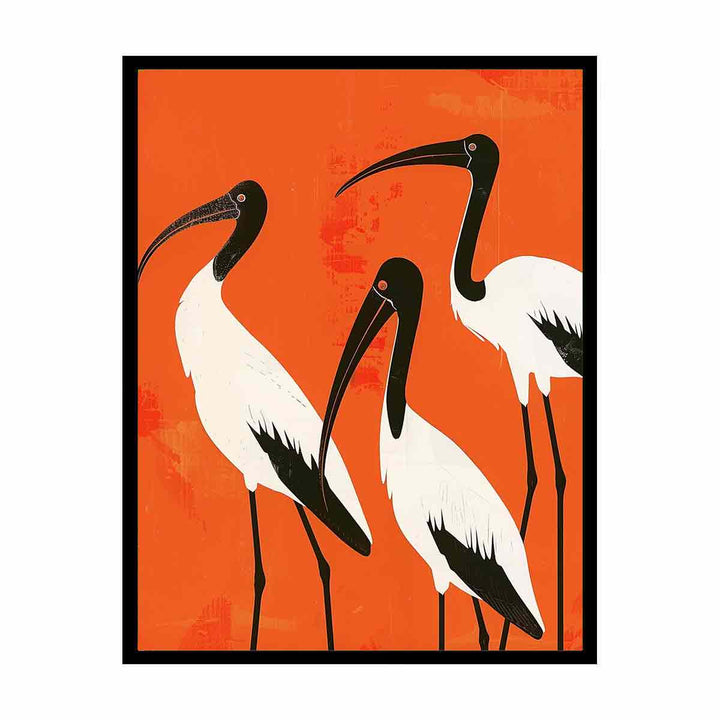 3 Ibis  Painting