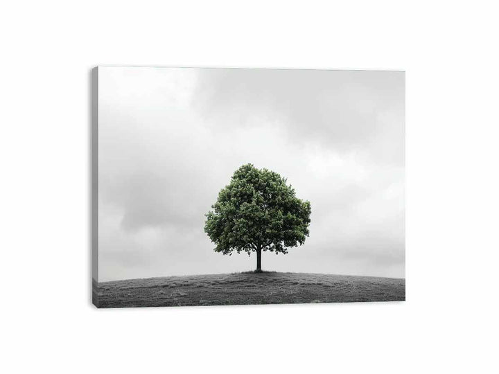 Green Tree Canvas Print