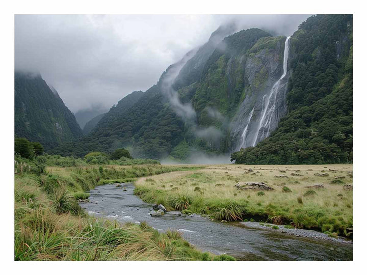 MIlford New Zealand