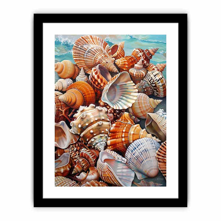 Scallop  Art Print