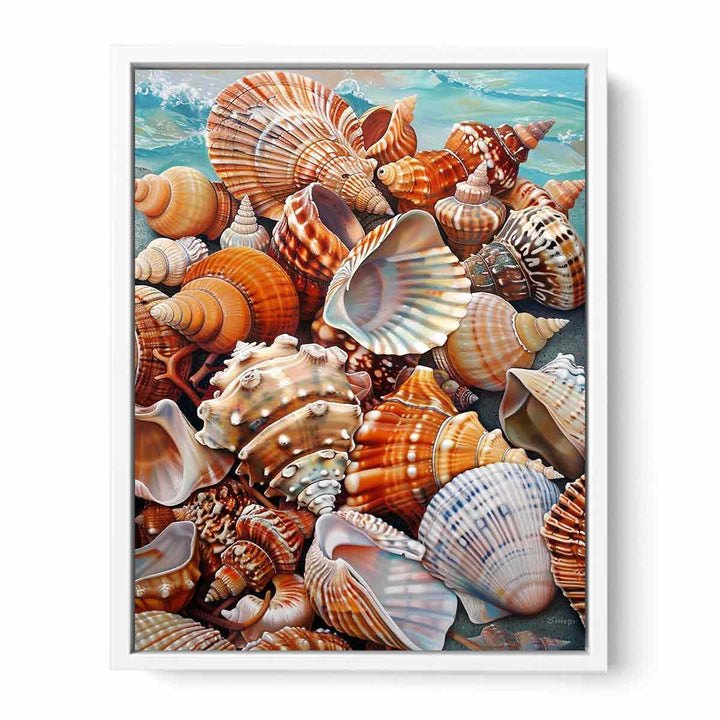 Scallop Framed Print