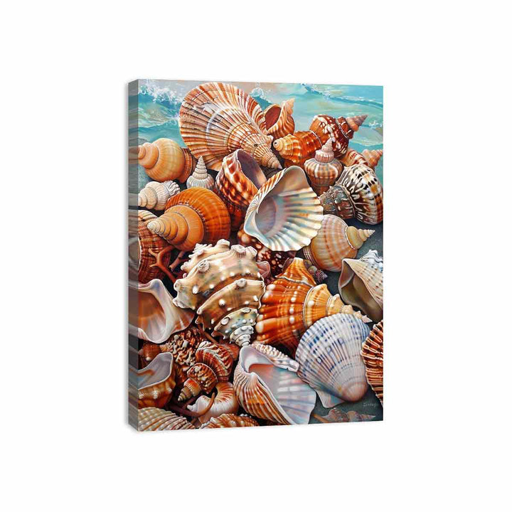 Scallop Canvas Print