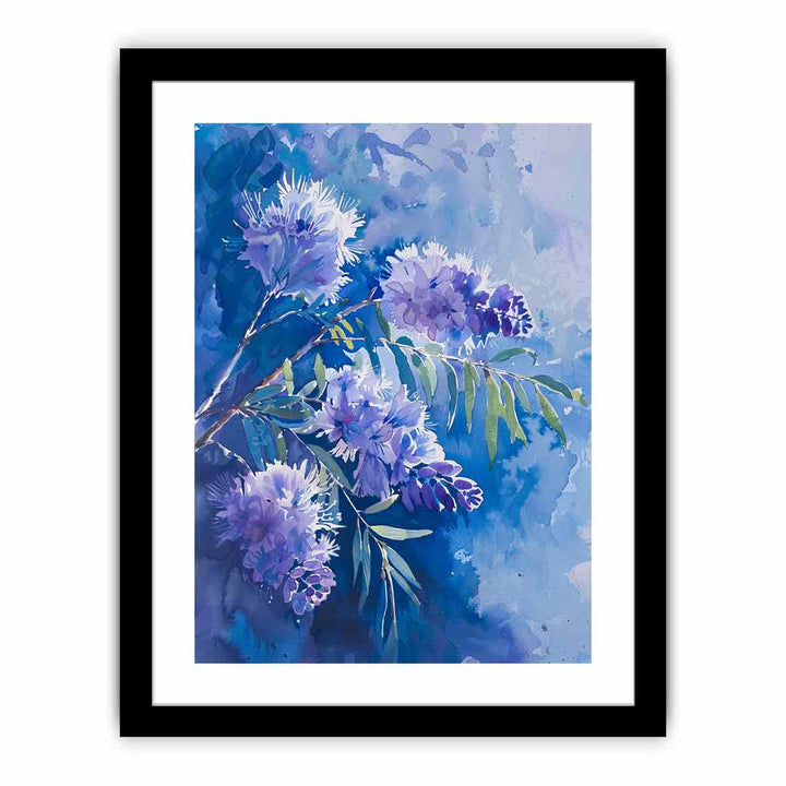 Acacia Flower  Art Print