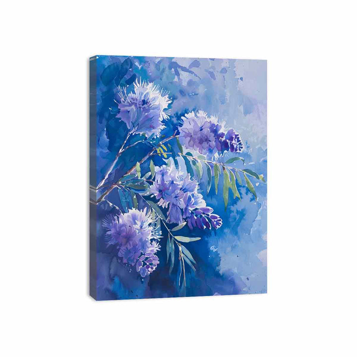 Acacia Flower Canvas Print