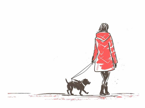 Walk With  Dog