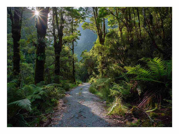 MIlford  Track