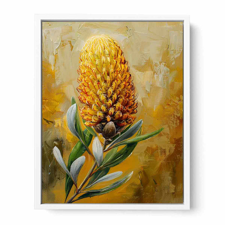 Banksia Framed Print