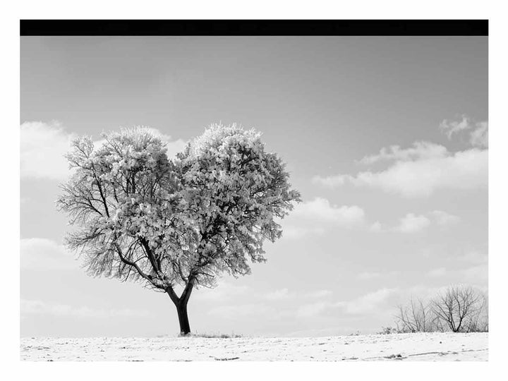 Heart Tree